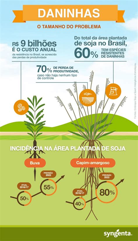 augusto buva|Monitoramento de Plantas Daninhas Resistentes a Glifosato no .